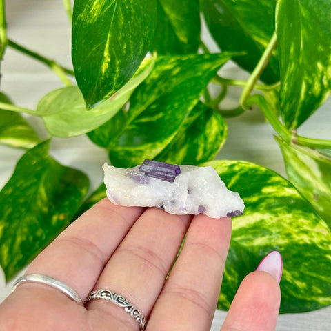 Marialite (UV Reactive) X 24 - Kenna's Crystals from TikTok