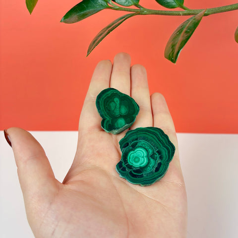 Meadow Malachite Slice - Kenna's Crystals