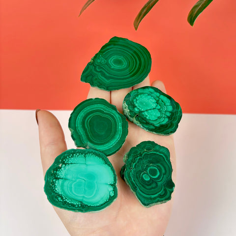 Meadow Malachite Slice - Kenna's Crystals