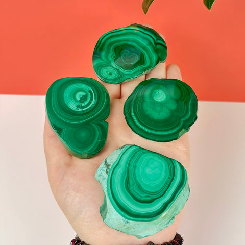 Meadow Malachite Slice - Kenna's Crystals