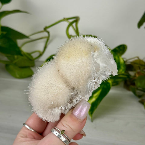 Mesolite Snowball Specimen B 2 - Kenna's Crystals from TikTok