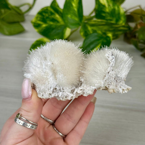 Mesolite Snowball Specimen C 3 - Kenna's Crystals from TikTok