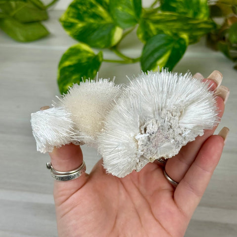 Mesolite Snowball Specimen D 4 - Kenna's Crystals from TikTok