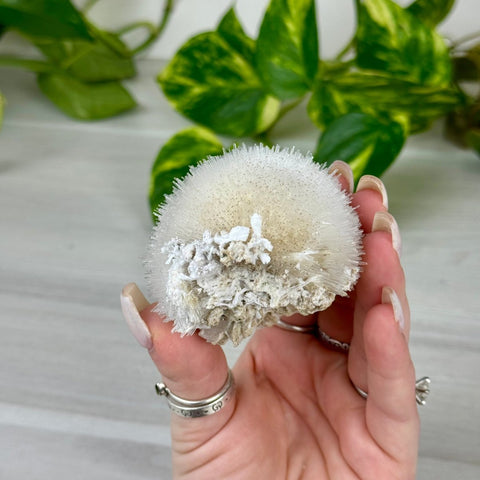 Mesolite Snowball Specimen E 5 - Kenna's Crystals from TikTok