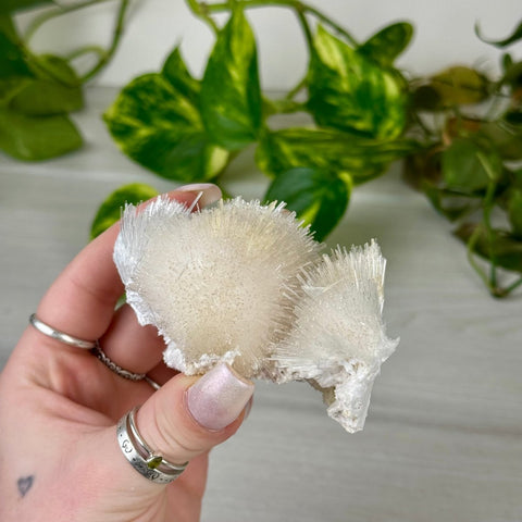 Mesolite Snowball Specimen F 6 - Kenna's Crystals from TikTok