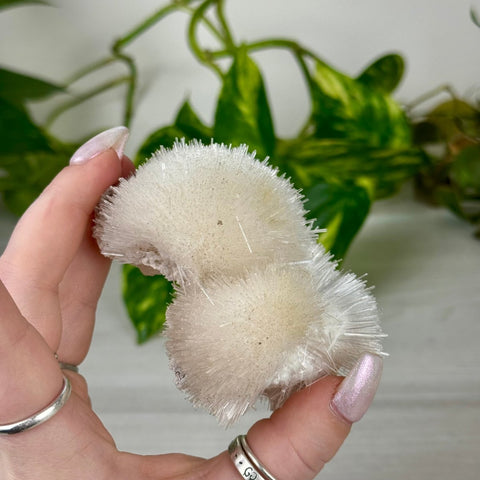 Mesolite Snowball Specimen G 7 - Kenna's Crystals from TikTok