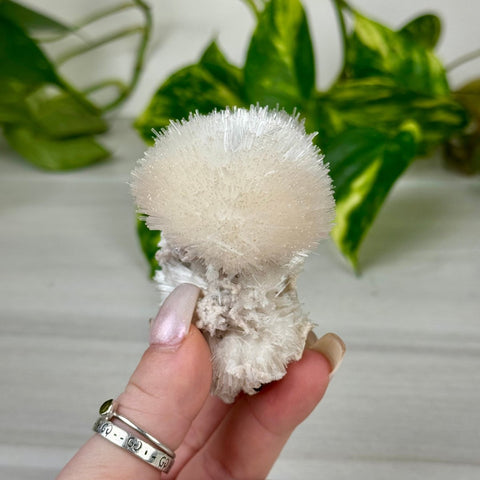Mesolite Snowball Specimen H 8 - Kenna's Crystals from TikTok