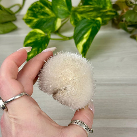 Mesolite Snowball Specimen J 10 - Kenna's Crystals from TikTok