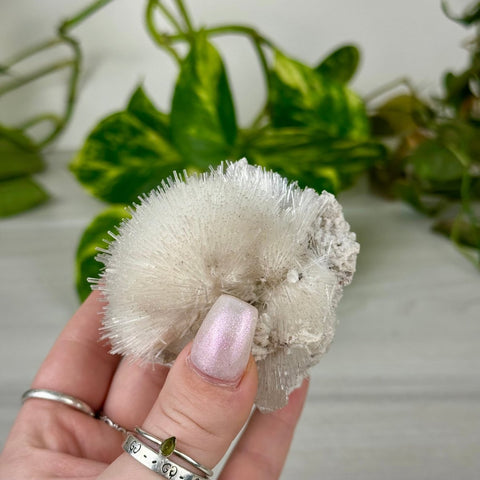 Mesolite Snowball Specimen K 11 - Kenna's Crystals from TikTok