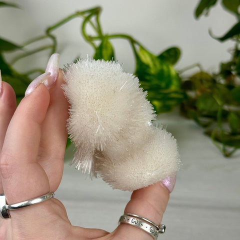 Mesolite Snowball Specimen L 12 - Kenna's Crystals from TikTok