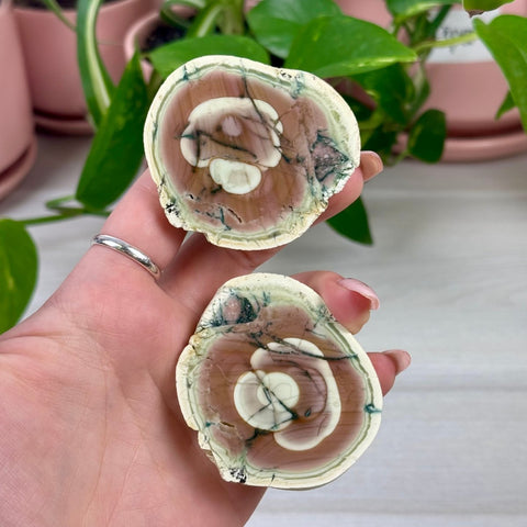 Mexican Agate Pair A 2 - Kenna's Crystals from TikTok