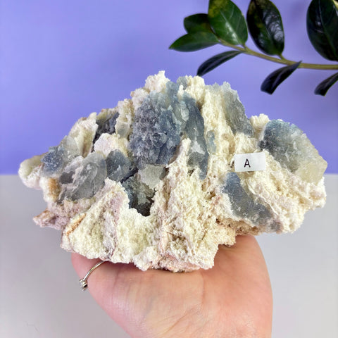 Mexican Celestite