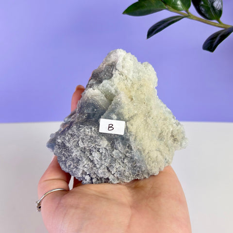 Mexican Celestite