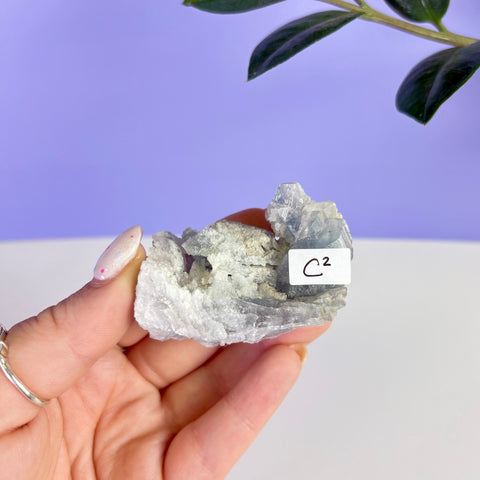 Mexican Celestite