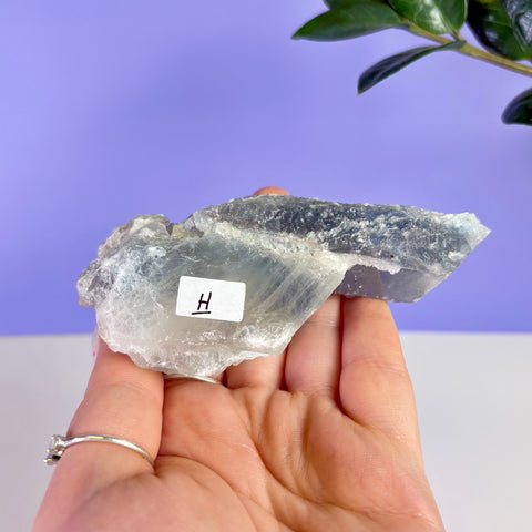 Mexican Celestite