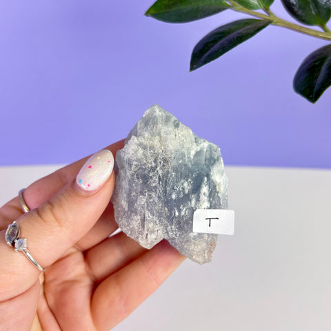 Mexican Celestite