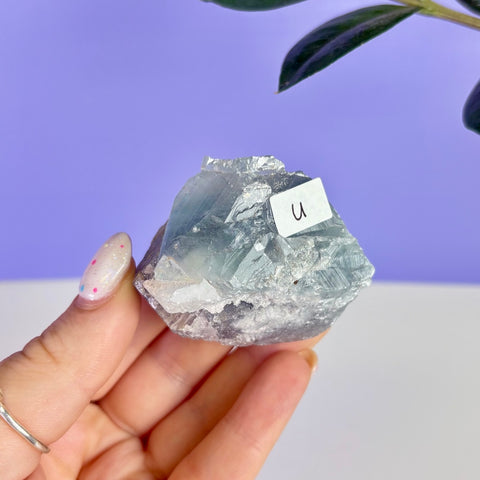 Mexican Celestite
