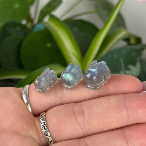 Mini AAA Labradorite Bunny 1 - Kenna's Crystals from TikTok