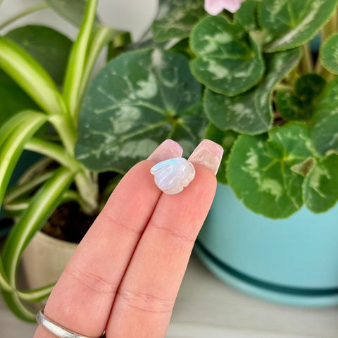 Mini AAA Moonstone Bunny - Crystal Carving 33 3 - Kenna's Crystals from TikTok