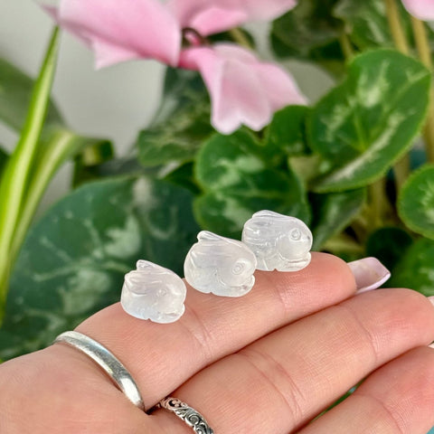 Mini AAA Moonstone Bunny - Crystal Carving 33 1 - Kenna's Crystals from TikTok