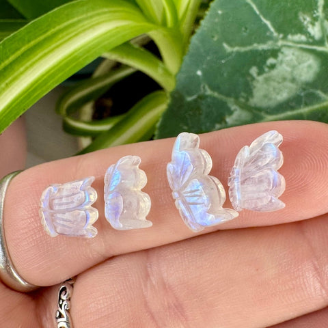 Mini AAA Rainbow Moonstone Butterfly 11 2 - Kenna's Crystals from TikTok