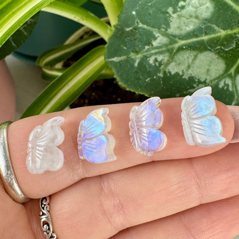 Mini AAA Rainbow Moonstone Crystal Butterfly 22 3 - Kenna's Crystals from TikTok