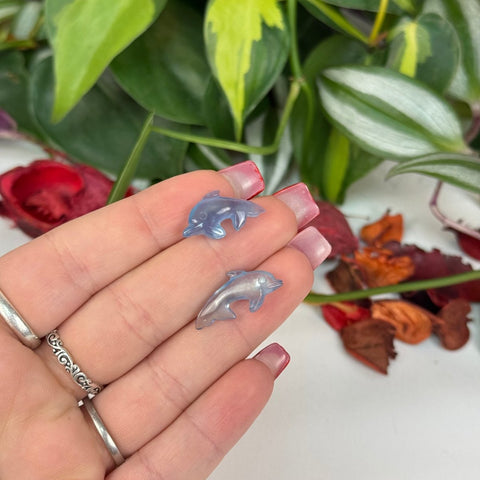 Mini Aquamarine Dolphin - Crystal Carving 11 1 - Kenna's Crystals from TikTok