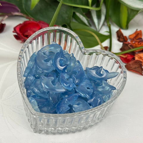 Mini Aquamarine Dolphin - Crystal Carving 22 2 - Kenna's Crystals from TikTok