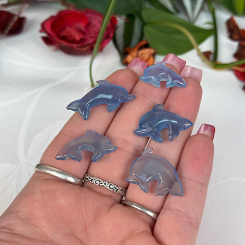 Mini Aquamarine Dolphin - Crystal Carving 33 3 - Kenna's Crystals from TikTok