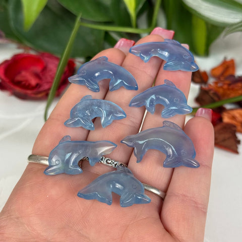 Mini Aquamarine Dolphin - Crystal Carving 33 4 - Kenna's Crystals from TikTok