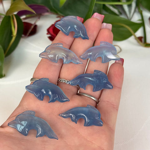 Mini Aquamarine Sea Creature 1 - Kenna's Crystals from TikTok