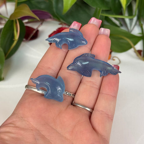 Mini Aquamarine Sea Creature 55 5 - Kenna's Crystals from TikTok