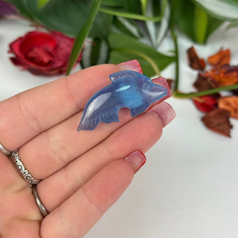 Mini Aquamarine Sea Creature 66 6 - Kenna's Crystals from TikTok