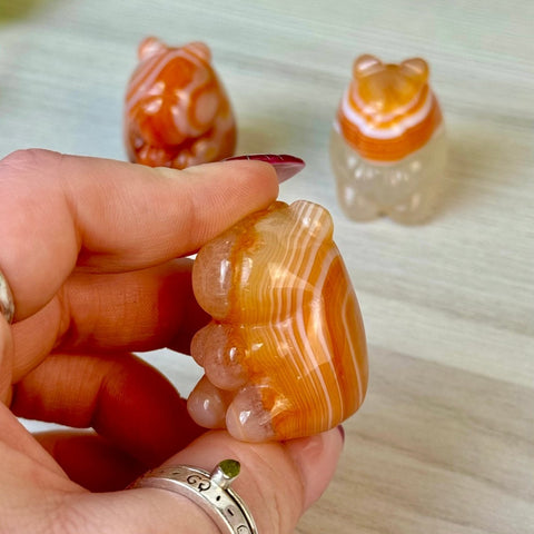Mini Carnelian Capybara 1 - Kenna's Crystals from TikTok