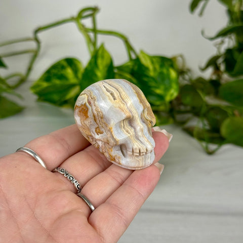 Mini Crazy Lace Agate Skull C 3 - Kenna's Crystals from TikTok