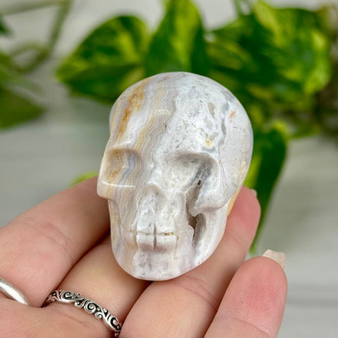 Mini Crazy Lace Agate Skull G 7 - Kenna's Crystals from TikTok