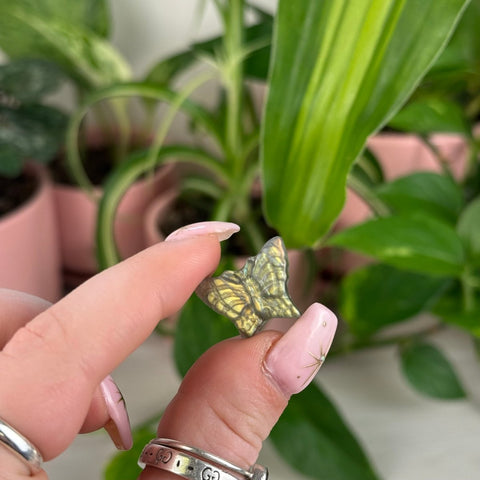 Mini High Flash Labradorite Butterfly 4 - Kenna's Crystals from TikTok