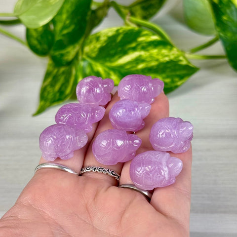 Mini Kunzite Turtle 155 2 - Kenna's Crystals from TikTok