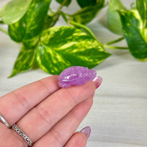 Mini Kunzite Turtle 202 9 - Kenna's Crystals from TikTok
