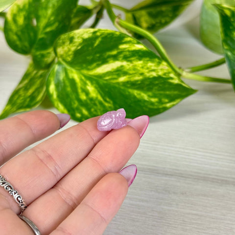 Mini Kunzite Turtle 22 2 - Kenna's Crystals from TikTok