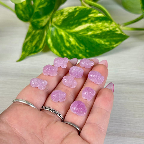 Mini Kunzite Turtle 22 1 - Kenna's Crystals from TikTok