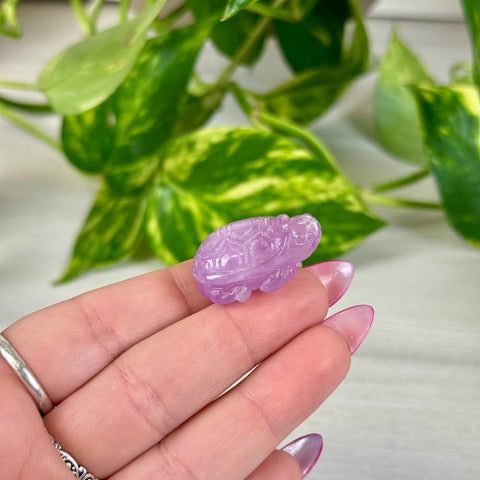 Mini Kunzite Turtle 240 10 - Kenna's Crystals from TikTok