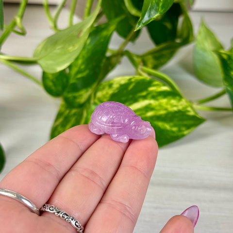 Mini Kunzite Turtle 245 11 - Kenna's Crystals from TikTok