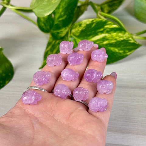 Mini Kunzite Turtle 44 3 - Kenna's Crystals from TikTok
