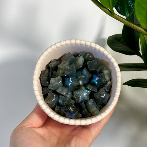 Mini labradorite stars in a white scalloped bowl, showcasing iridescent blue and green flashes.