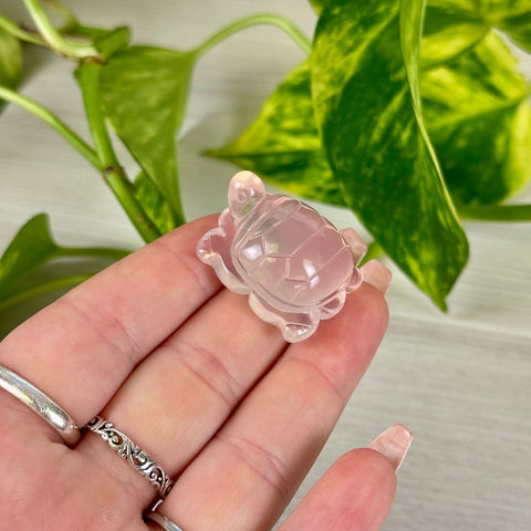 Mini Mozambique Rose Quartz Turtle 2 - Kenna's Crystals from TikTok