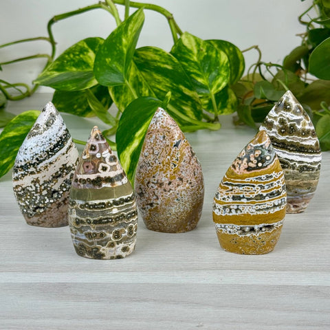 Mini Ocean Jasper Flame 44 4 - Kenna's Crystals from TikTok