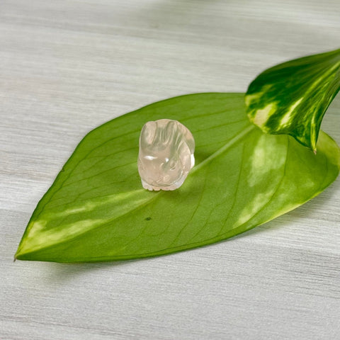 Mini Rose Quartz Bunny 1 - Kenna's Crystals from TikTok