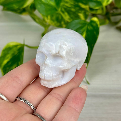 Mini Snow Agate Skull C 4 - Kenna's Crystals from TikTok