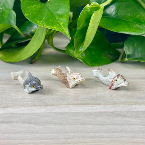Mini Soapstone Animal Carvings Dolphin 15 - Kenna's Crystals from TikTok